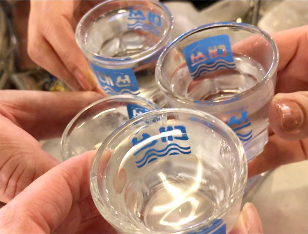 f:id:Samantha_TOKYO:20180606101925j:image