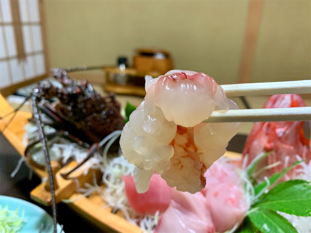 f:id:Samantha_TOKYO:20200125184001j:image