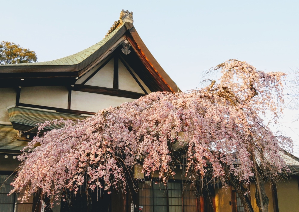 f:id:Samasama3:20210323064735j:plain