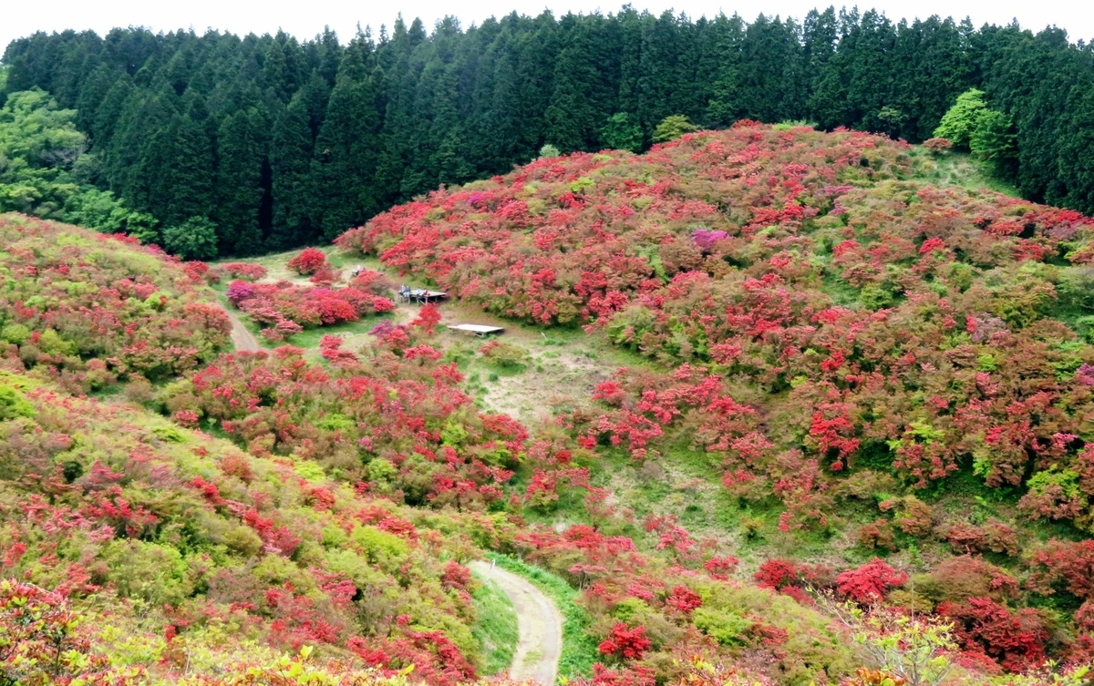 f:id:Samasama3:20210520115404j:plain