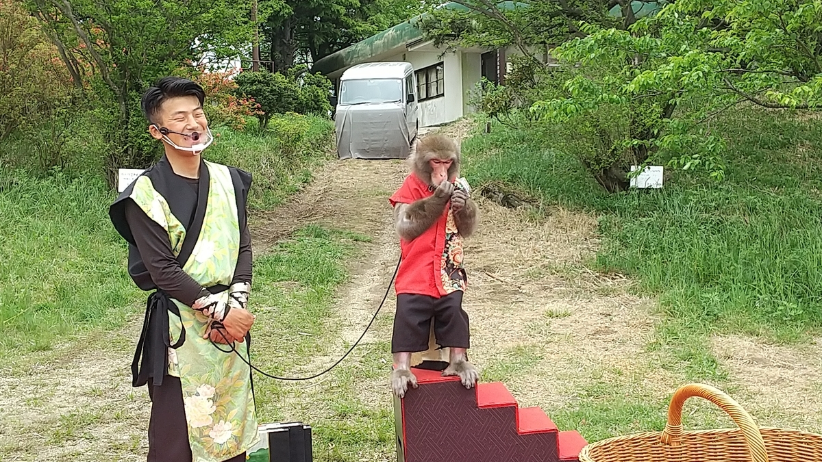 f:id:Samasama3:20210520115521j:plain