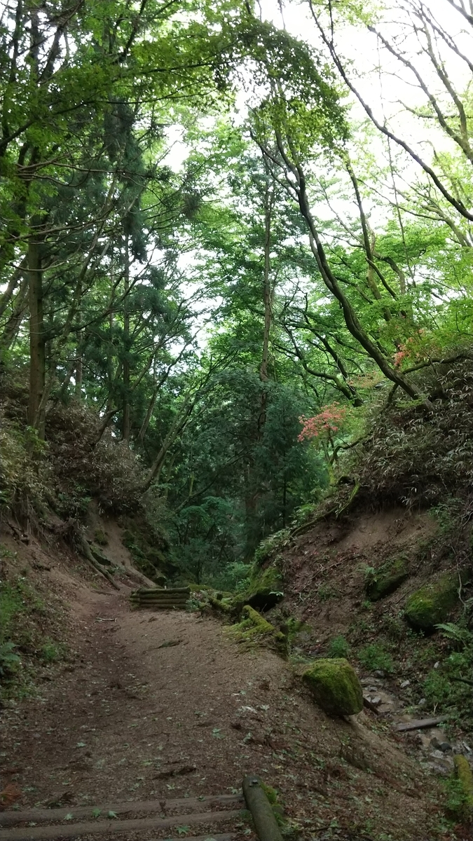 f:id:Samasama3:20210520115716j:plain