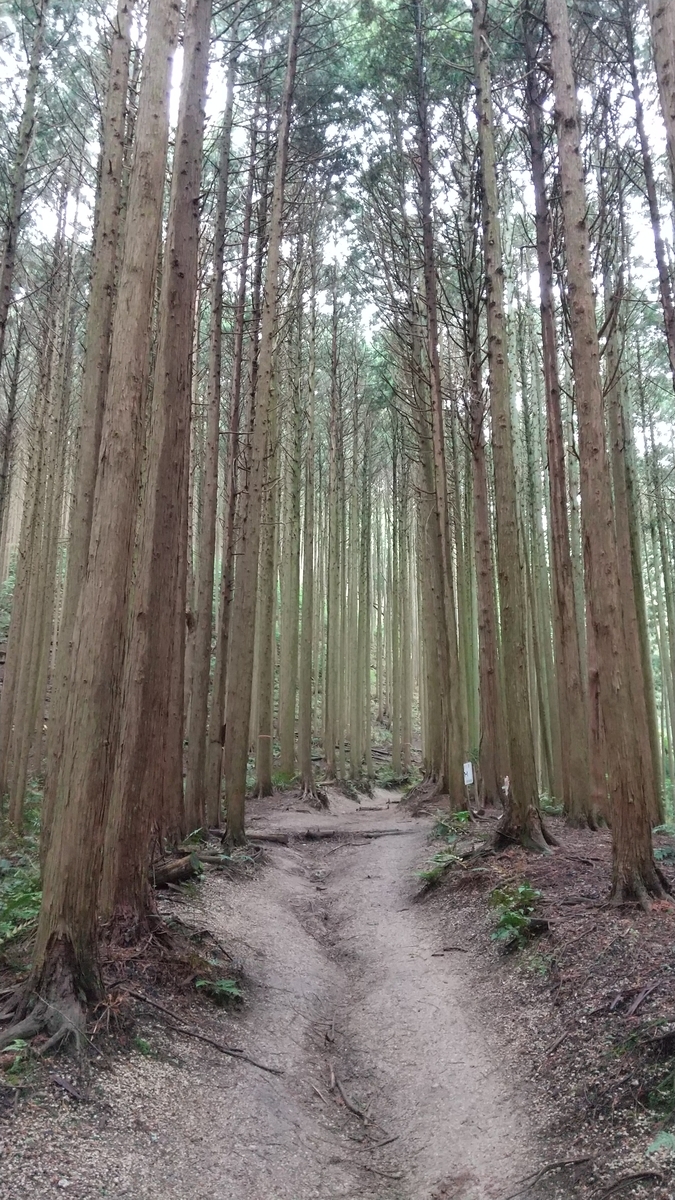 f:id:Samasama3:20210520115818j:plain