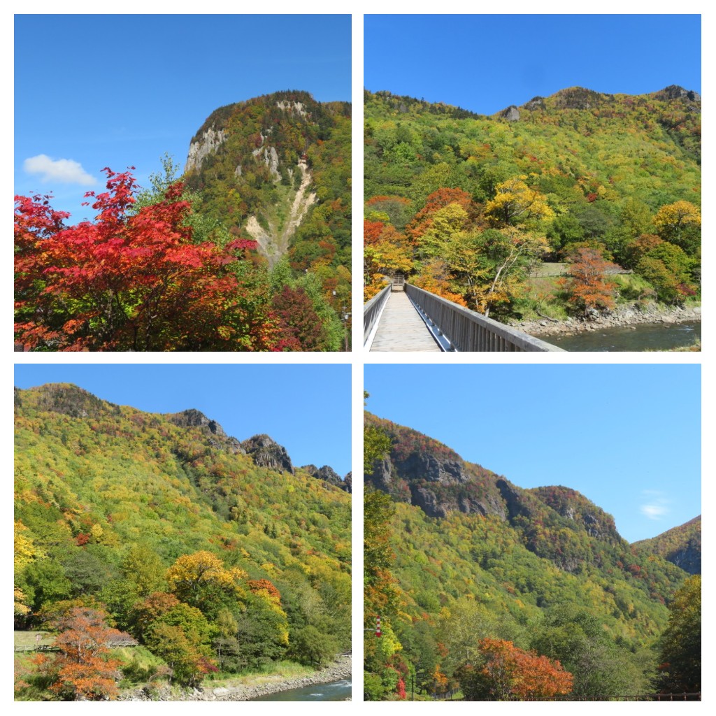 f:id:Samasama3:20211001210147j:plain