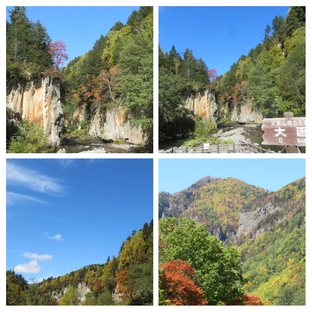 f:id:Samasama3:20211001212503j:plain