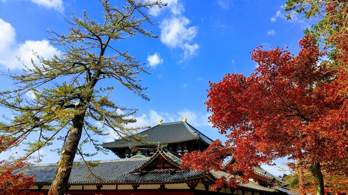 f:id:Samasama3:20211209100501j:plain