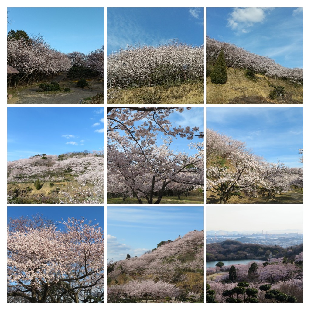 f:id:Samasama3:20220404223412j:plain