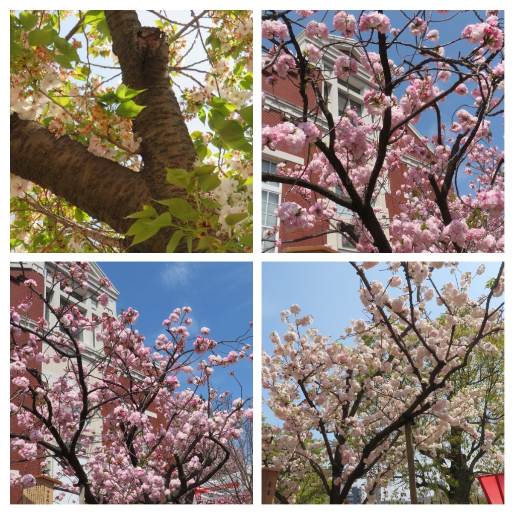 f:id:Samasama3:20220411145401j:plain