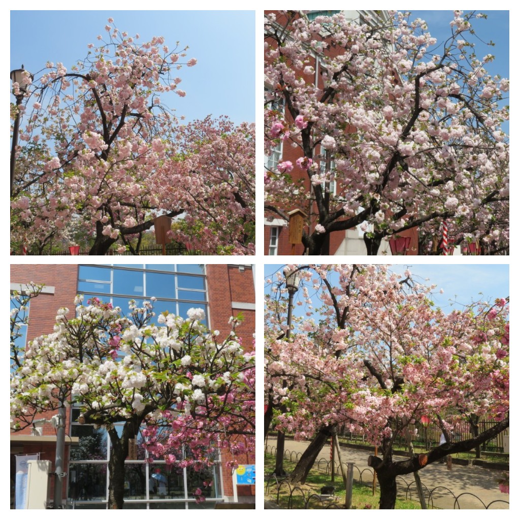 f:id:Samasama3:20220411145425j:plain