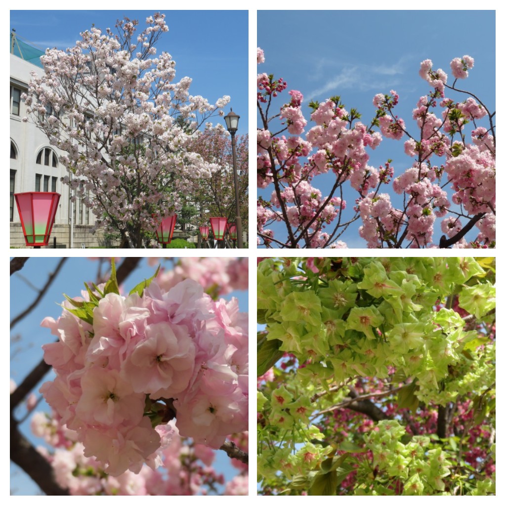 f:id:Samasama3:20220411145444j:plain