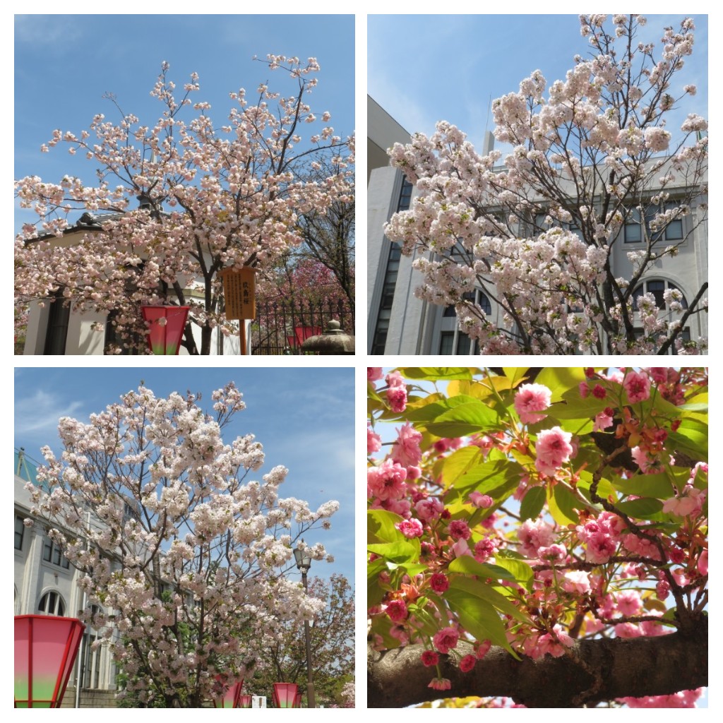 f:id:Samasama3:20220411145726j:plain