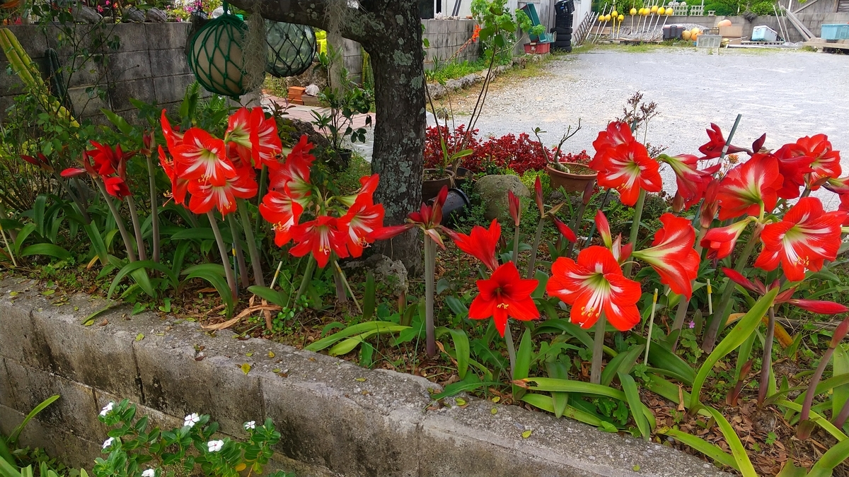 f:id:Samasama3:20220415165502j:plain