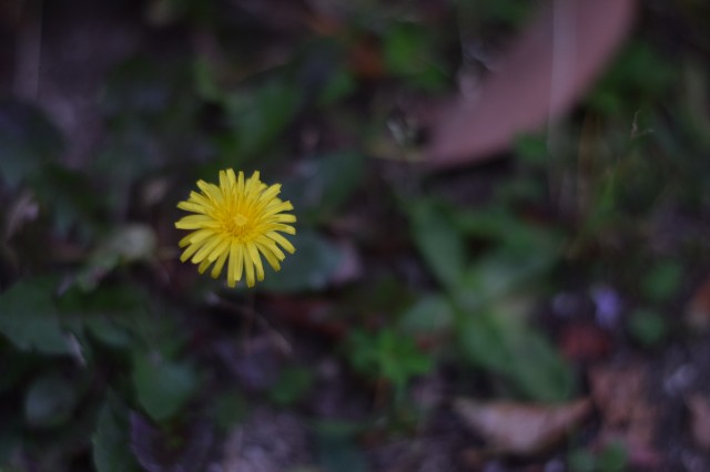 f:id:Samurai_Soul:20210620045641j:image f:id:Samurai_Soul:20210620045641j:image