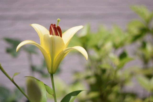 f:id:Samurai_Soul:20210621182019j:image f:id:Samurai_Soul:20210621182019j:image