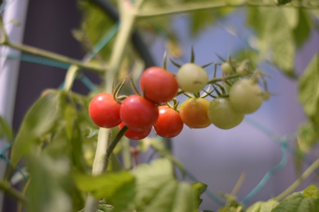 f:id:Samurai_Soul:20210812004854j:image f:id:Samurai_Soul:20210812004854j:image