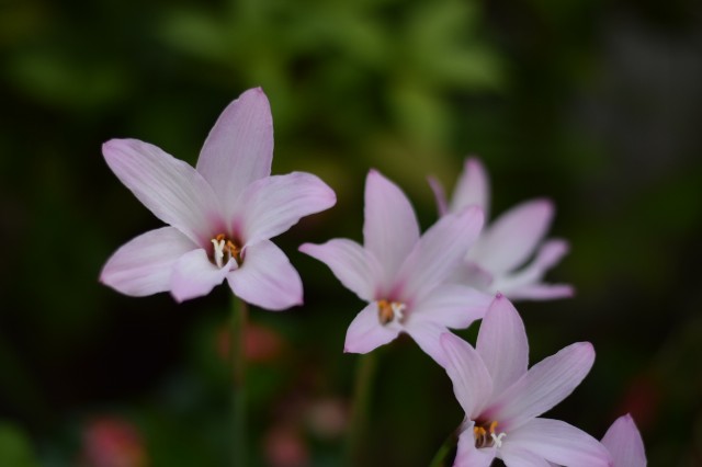 f:id:Samurai_Soul:20210817233221j:image f:id:Samurai_Soul:20210817233221j:image