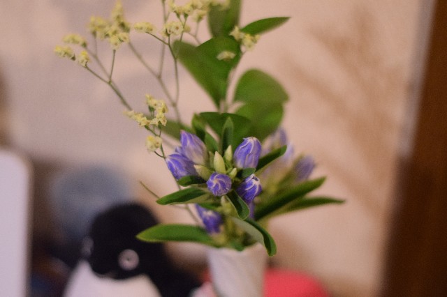 f:id:Samurai_Soul:20210821231925j:image f:id:Samurai_Soul:20210821231925j:image