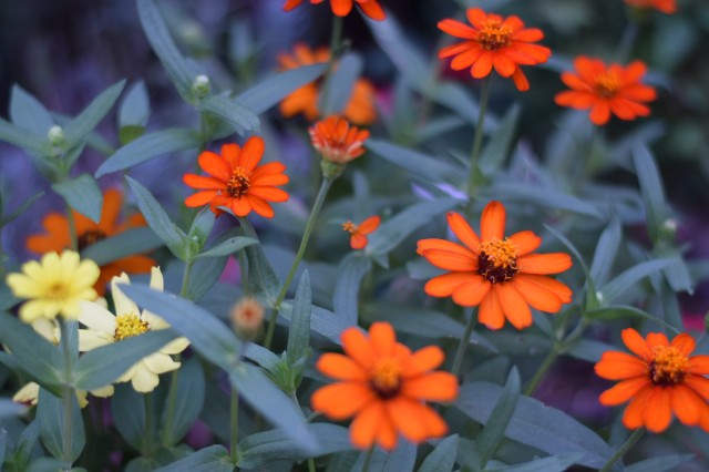 f:id:Samurai_Soul:20210912230642j:image f:id:Samurai_Soul:20210912230642j:image