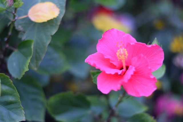 f:id:Samurai_Soul:20210915045959j:image f:id:Samurai_Soul:20210915045959j:image