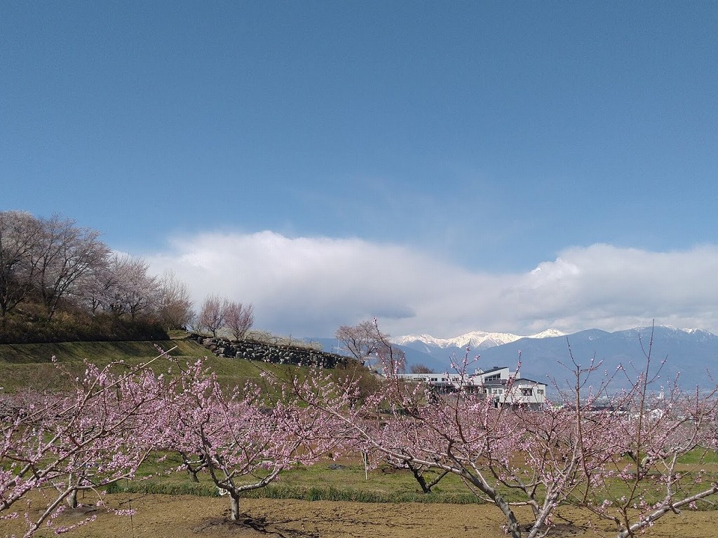 f:id:Sanguine-vigore:20190412172432j:plain