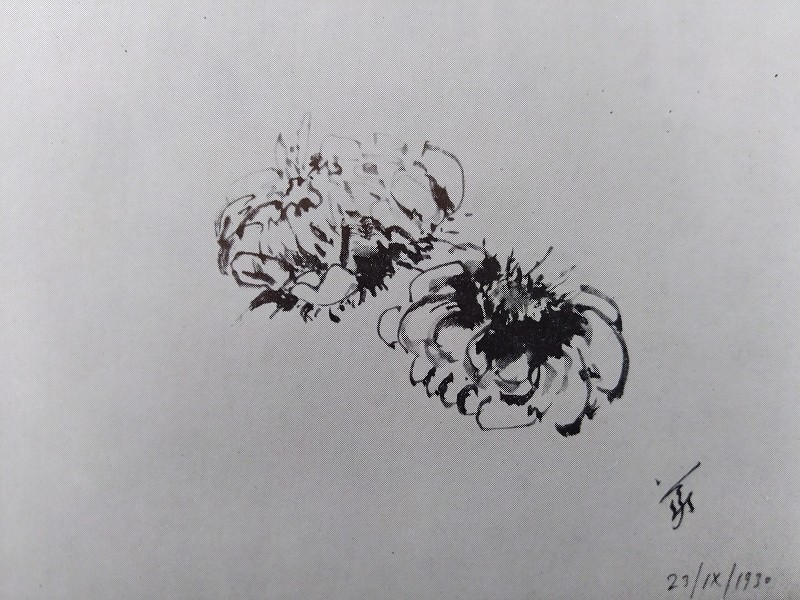 f:id:Sanguine-vigore:20200416172212j:plain f:id:Sanguine-vigore:20200416172212j:plain