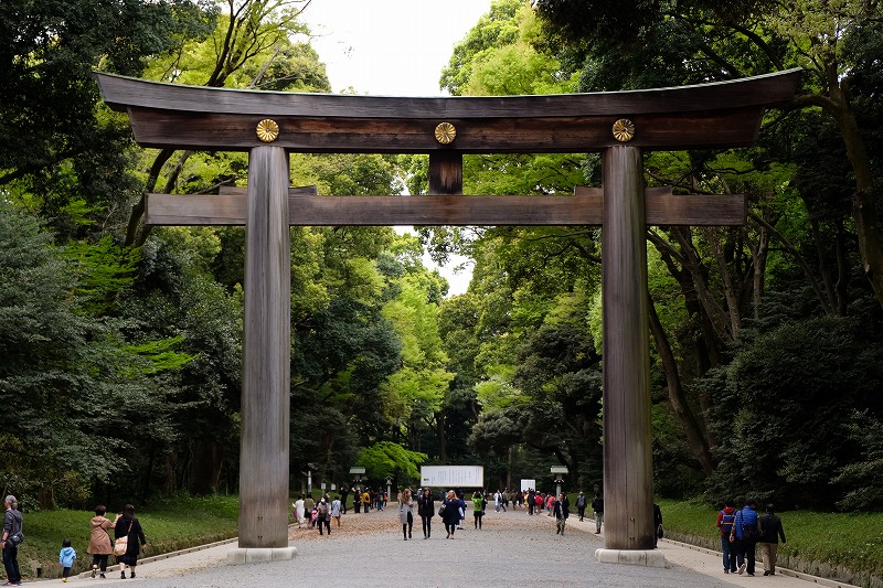 f:id:Sanguine-vigore:20200416172328j:plain f:id:Sanguine-vigore:20200416172328j:plain