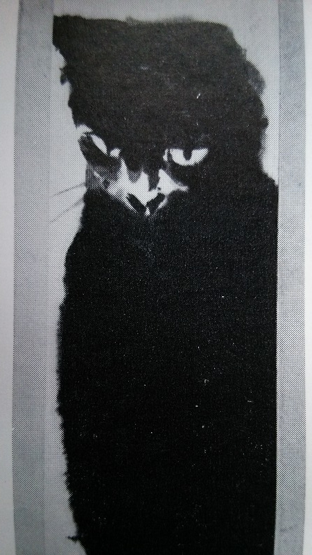 f:id:Sanguine-vigore:20200416172413j:plain f:id:Sanguine-vigore:20200416172413j:plain