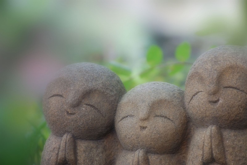 f:id:Sanguine-vigore:20201103172149j:plain