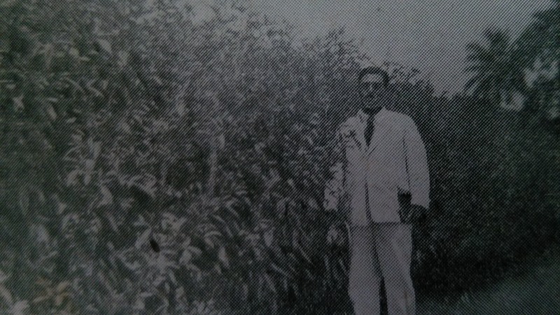 f:id:Sanguine-vigore:20201110170528j:plain f:id:Sanguine-vigore:20201110170528j:plain