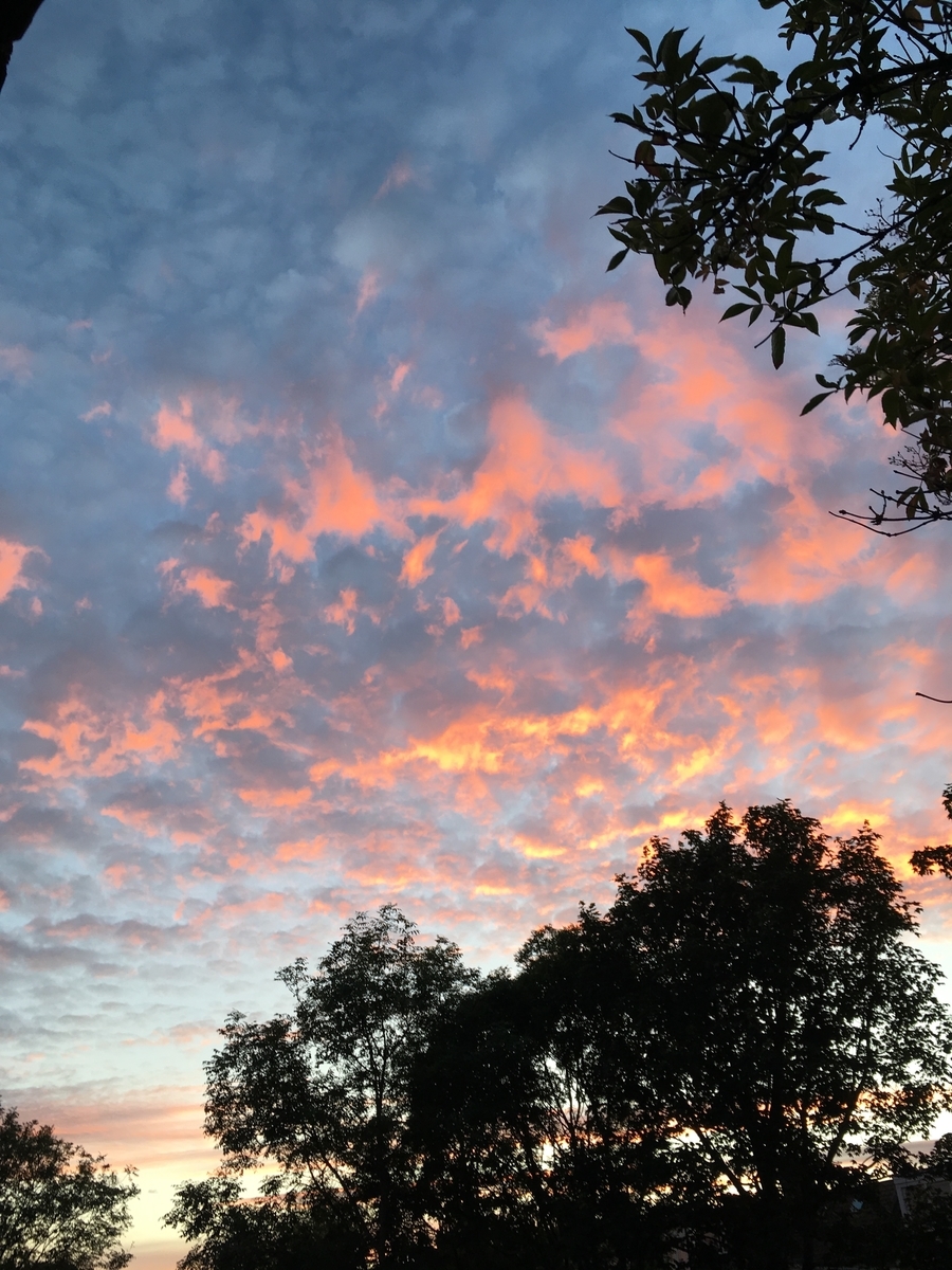 f:id:Sanorui:20190714070448j:plain