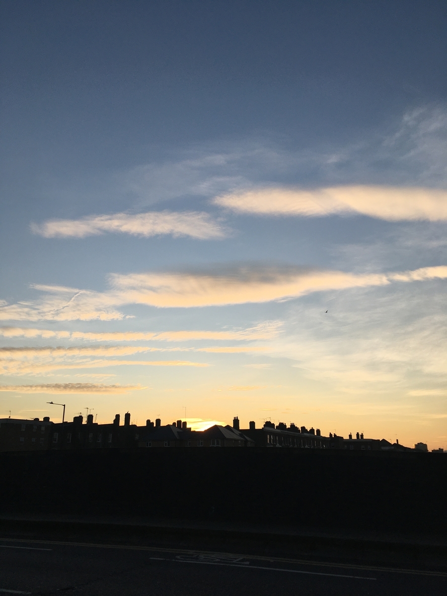 f:id:Sanorui:20191230023327j:plain