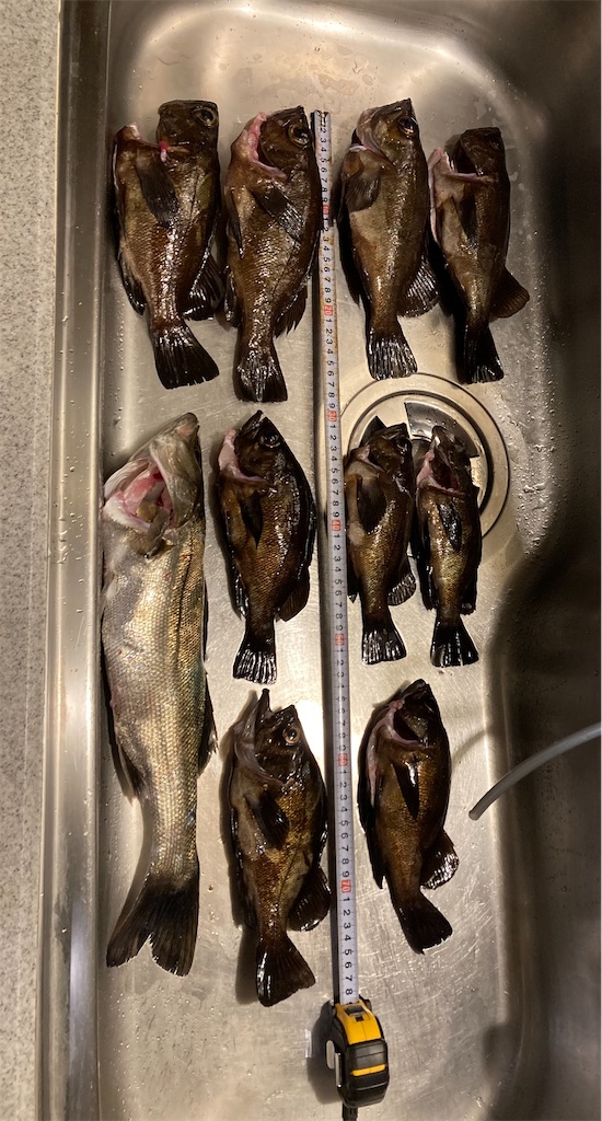 f:id:SasaNishiki:20240708121102j:image