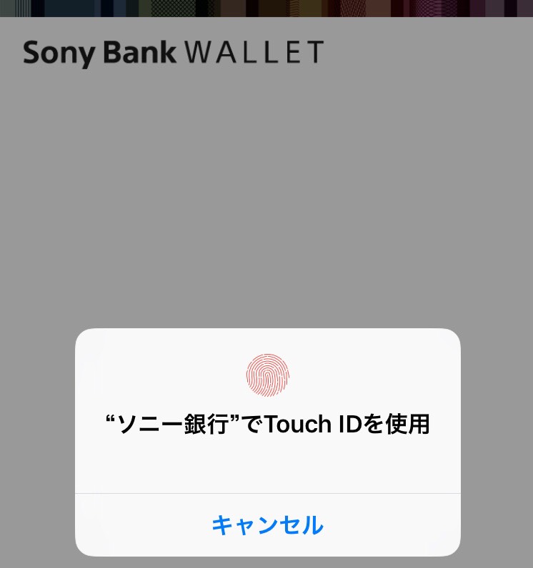 f:id:Sasatoo0521:20190302125703j:plain