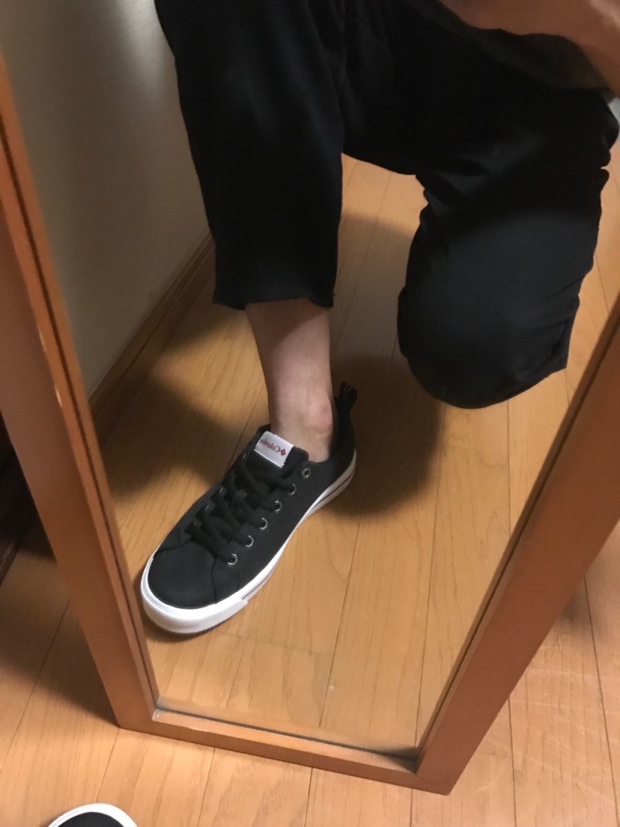 f:id:Sasatoo0521:20190713232803j:plain f:id:Sasatoo0521:20190713232803j:plain