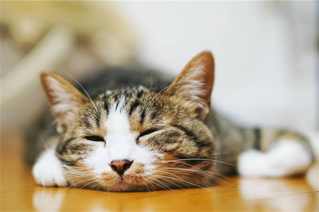 f:id:Sasukez:20201105103640j:image