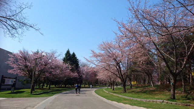 f:id:SatoRu0212:20200517165318j:plain