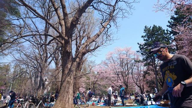 f:id:SatoRu0212:20200523173326j:plain