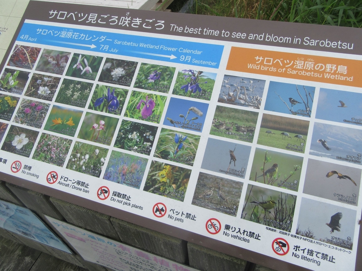 f:id:SatoRu0212:20200802230502j:plain