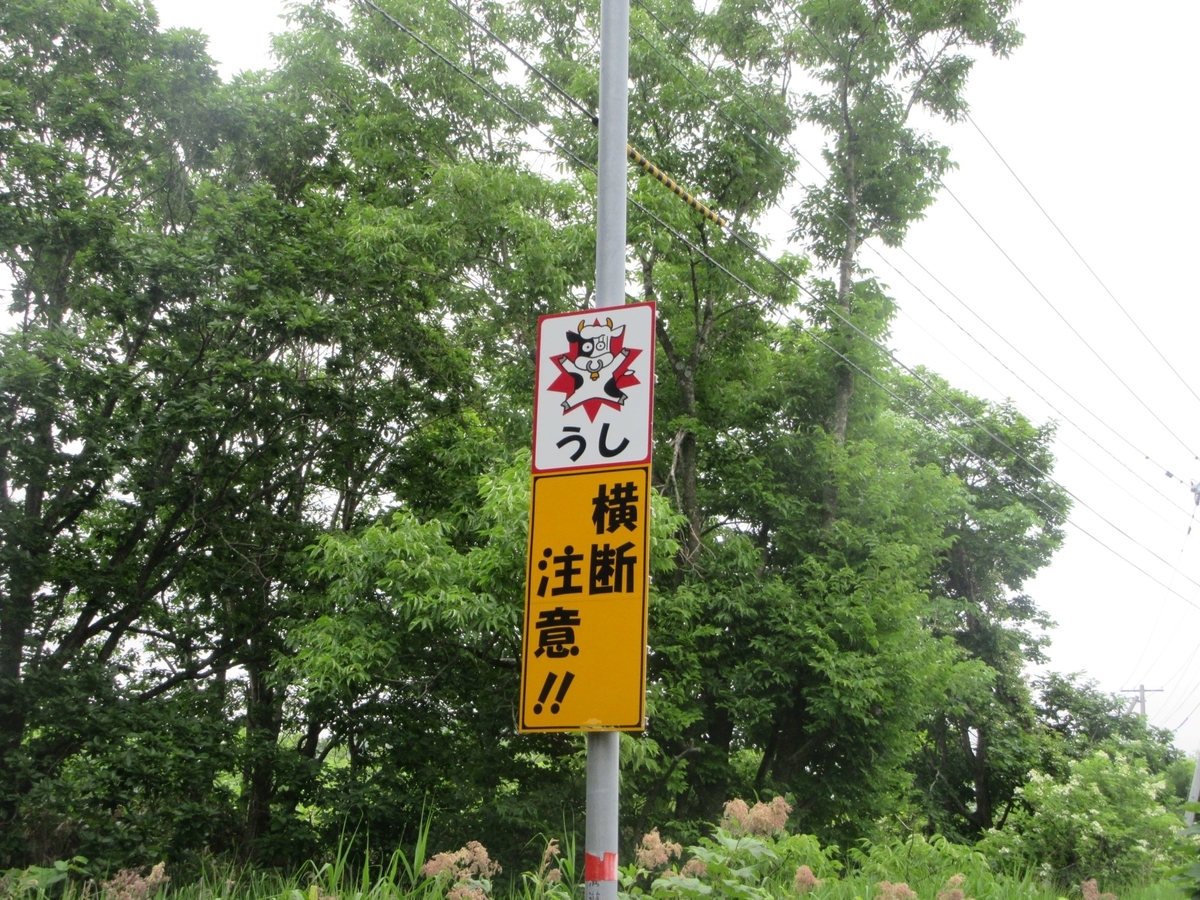 f:id:SatoRu0212:20200819223303j:plain