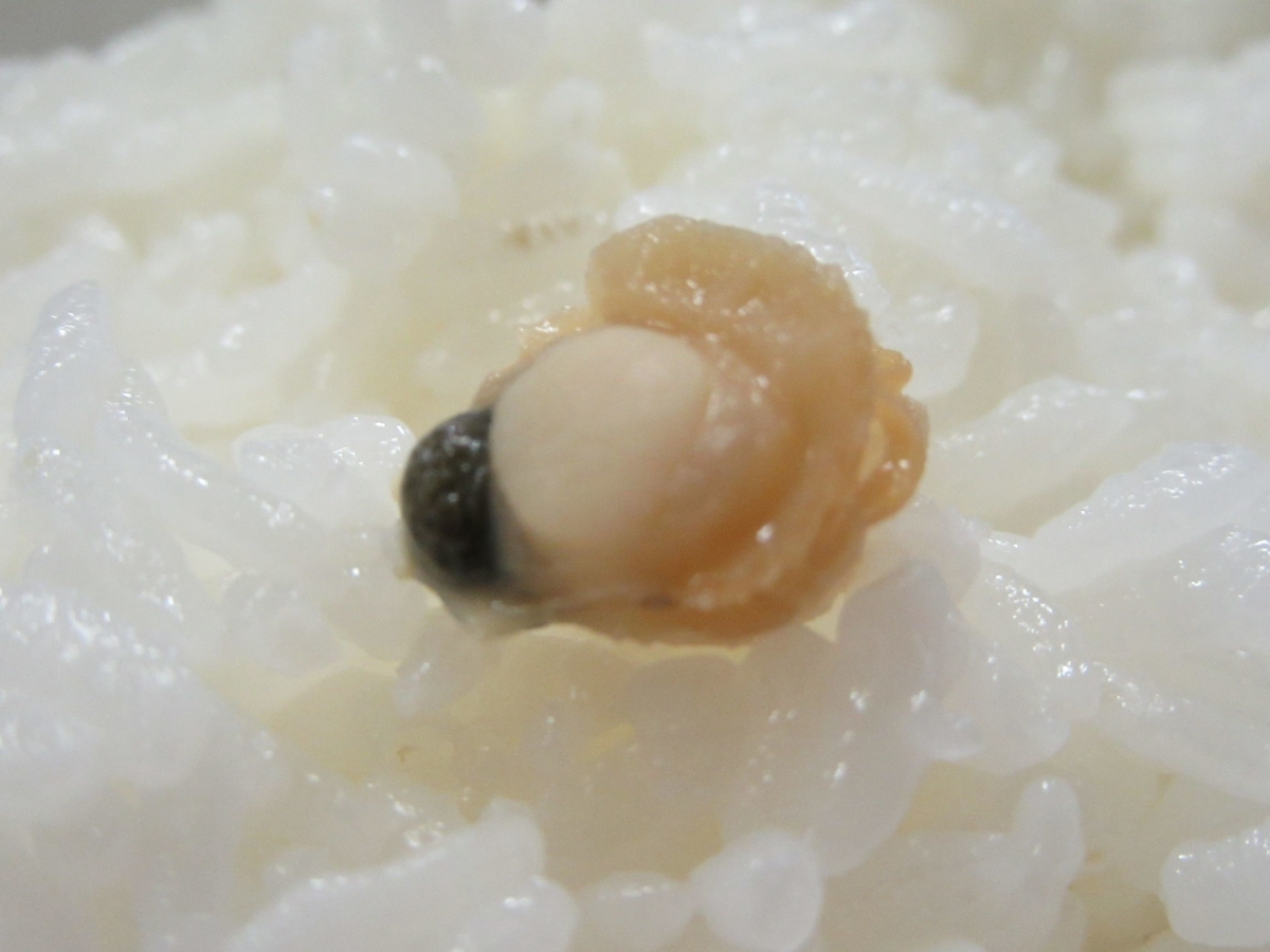 f:id:SatoRu0212:20201004165400j:plain