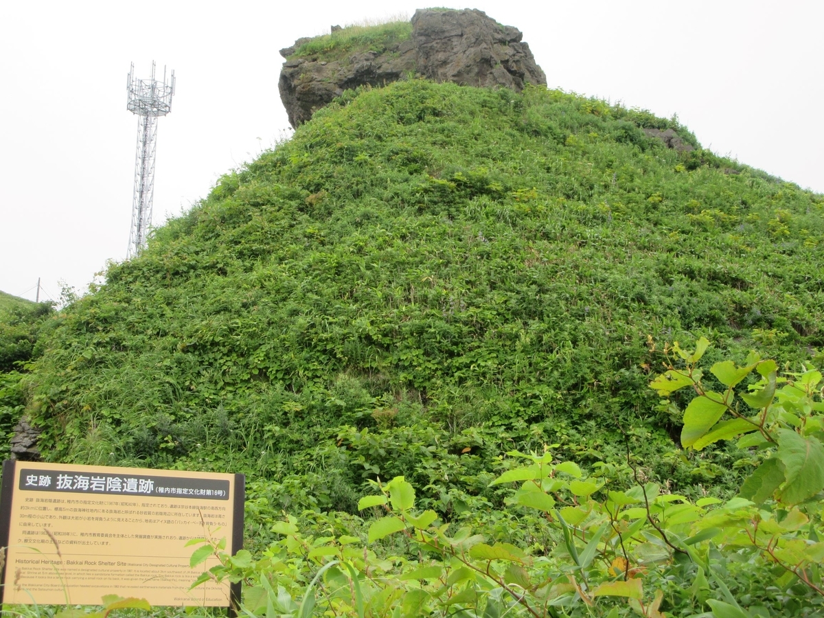 f:id:SatoRu0212:20201123121819j:plain