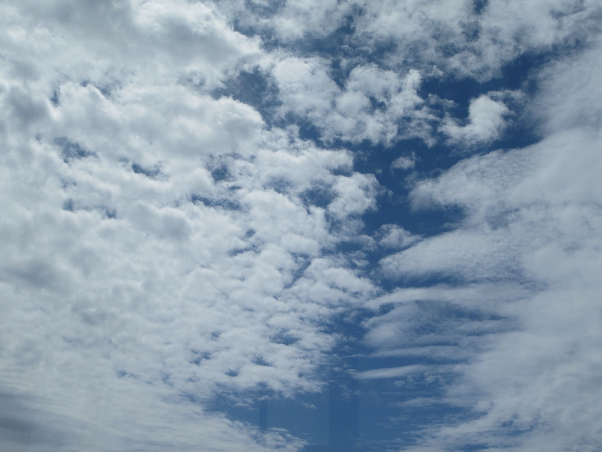 f:id:SatoRu0212:20201208230450j:plain