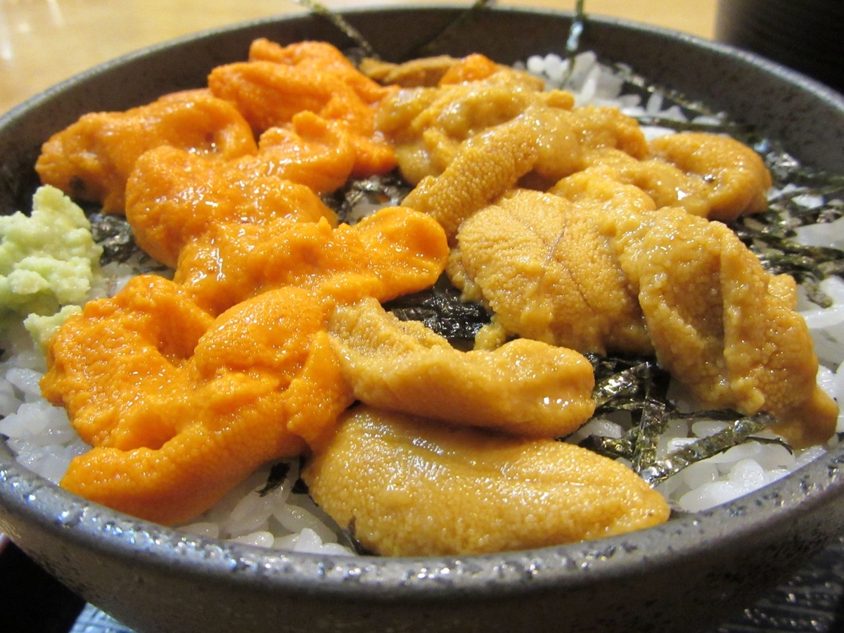 f:id:SatoRu0212:20211018224853j:plain