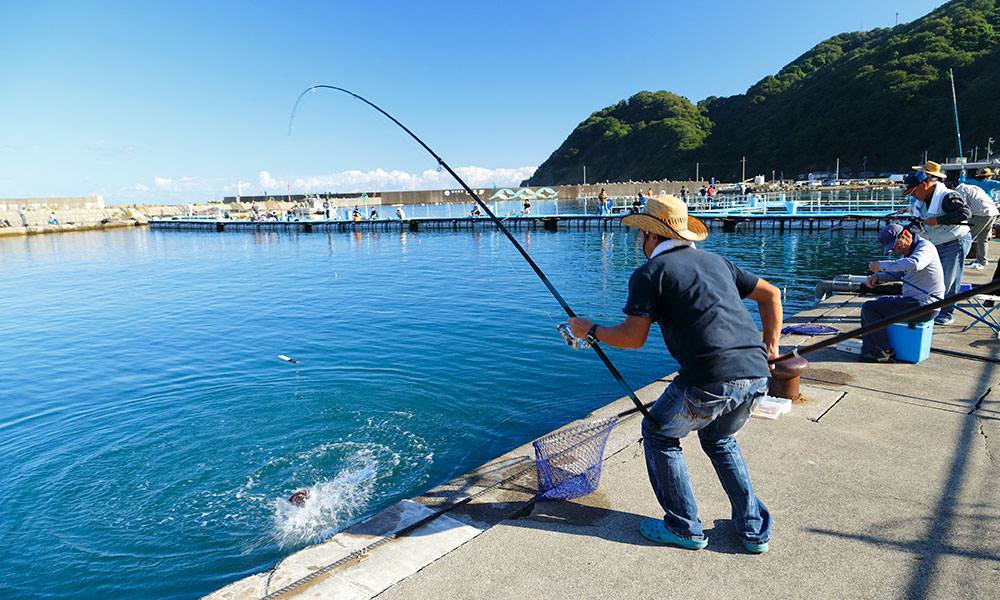 f:id:SatoshiDate:20190404183232j:plain f:id:SatoshiDate:20190404183232j:plain