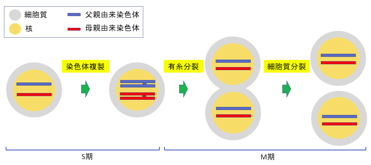 f:id:SatoshiWatanabe:20190713085736p:plain