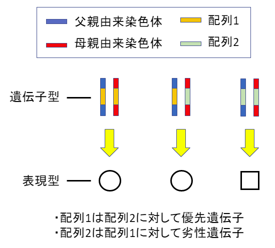 f:id:SatoshiWatanabe:20190713111055p:plain