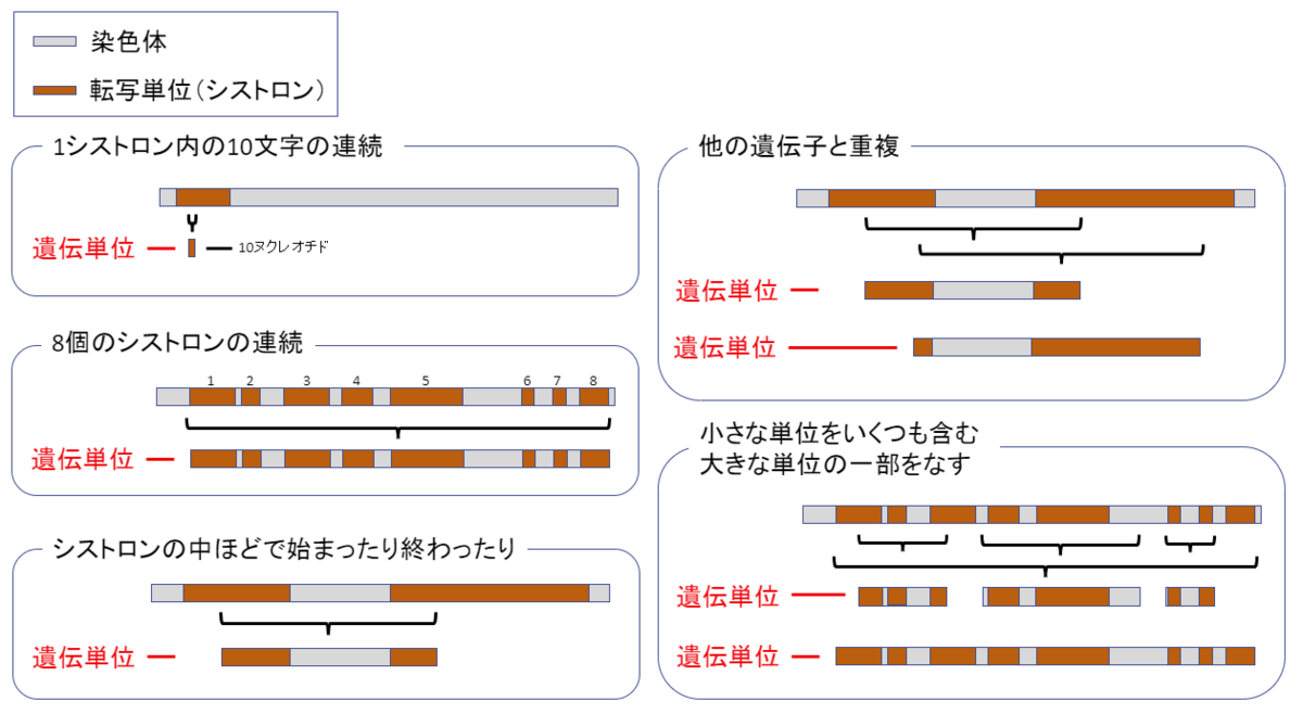 f:id:SatoshiWatanabe:20190713151124p:plain