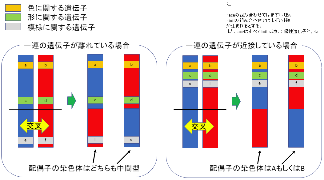 f:id:SatoshiWatanabe:20190713170436p:plain