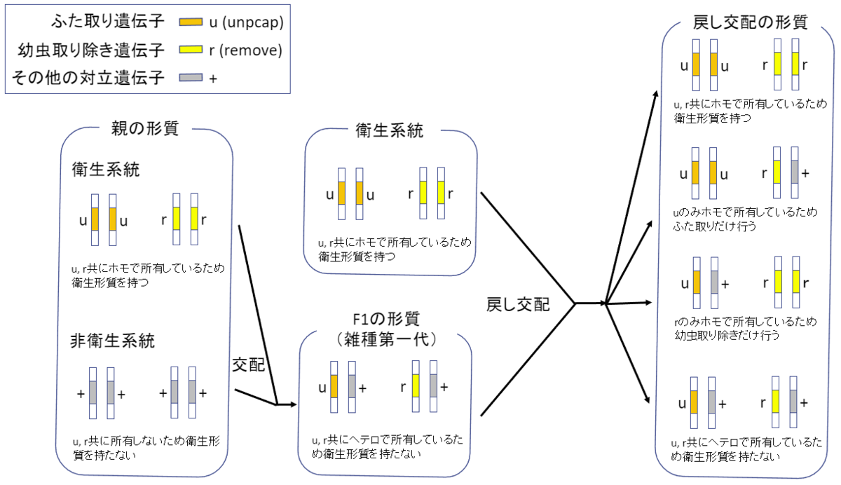 f:id:SatoshiWatanabe:20190804195352p:plain f:id:SatoshiWatanabe:20190804195352p:plain