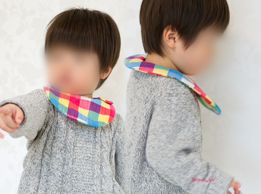 f:id:Satsuki_bib:20181021145908j:plain f:id:Satsuki_bib:20181021145908j:plain